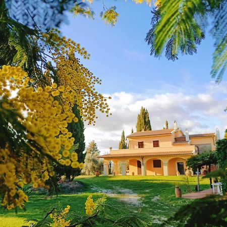 Villa La Doganella Pitigliano Exterior foto