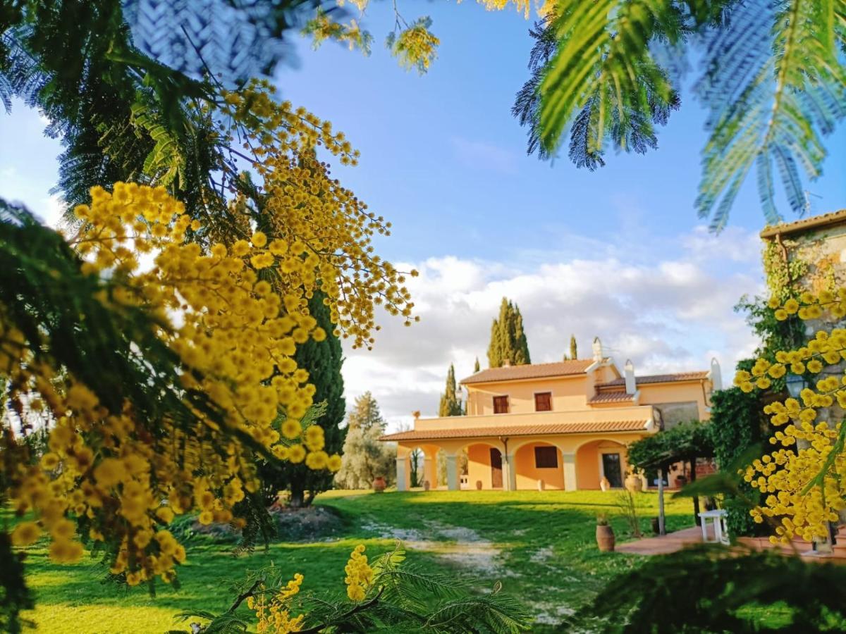 Villa La Doganella Pitigliano Exterior foto